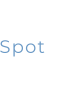 Spot