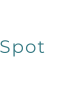 Spot